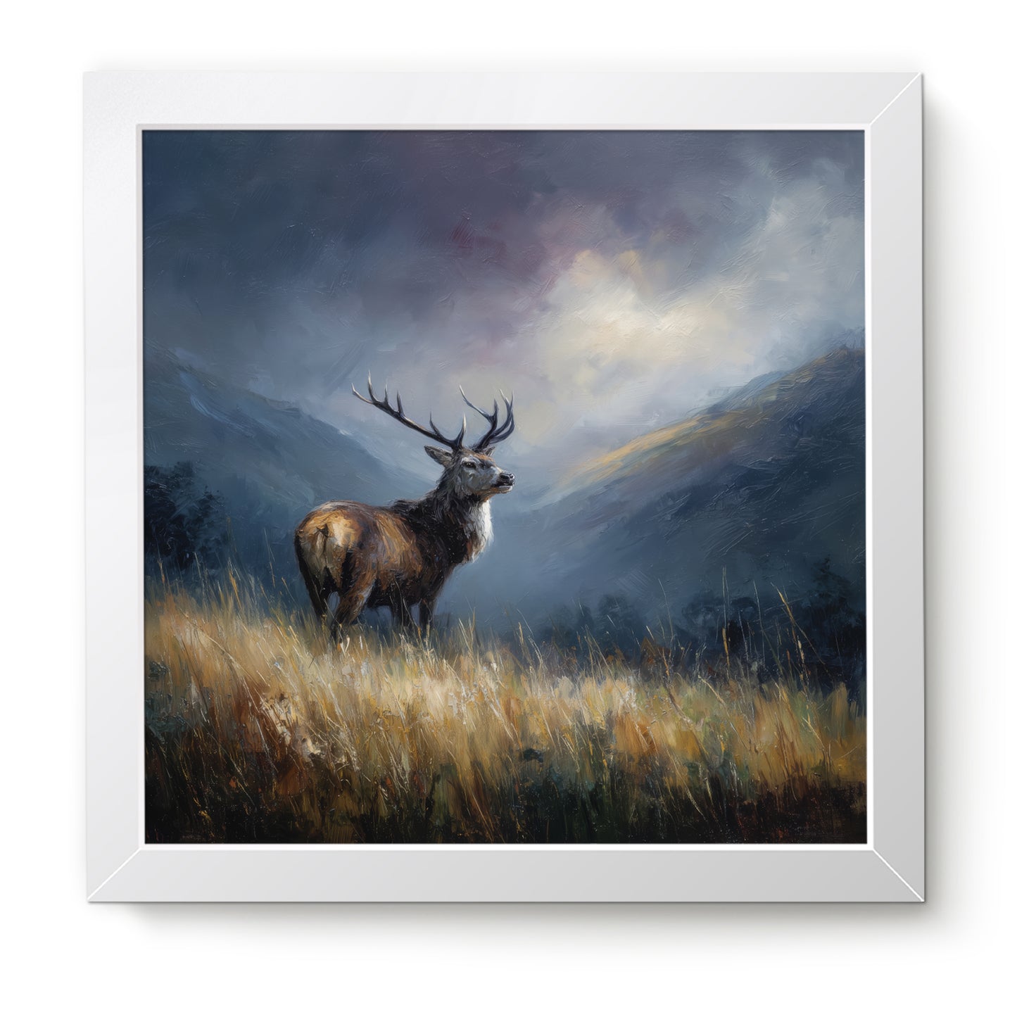 Highland Hart - Fine Art Print (16" x 16")