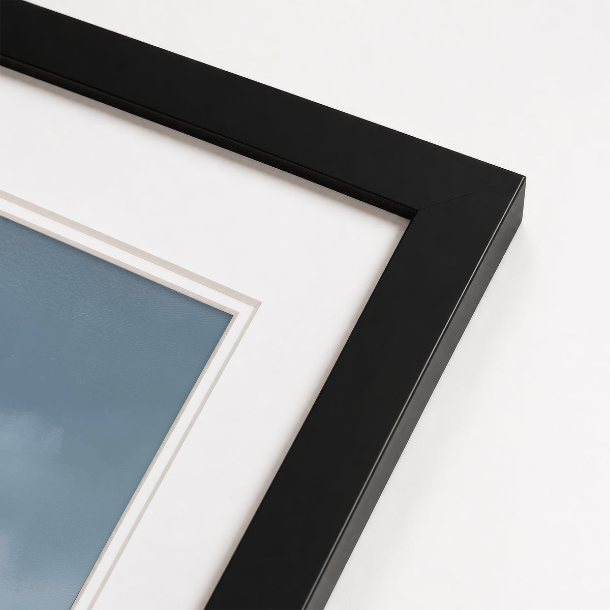 Highland Bloom - Gallery Print
