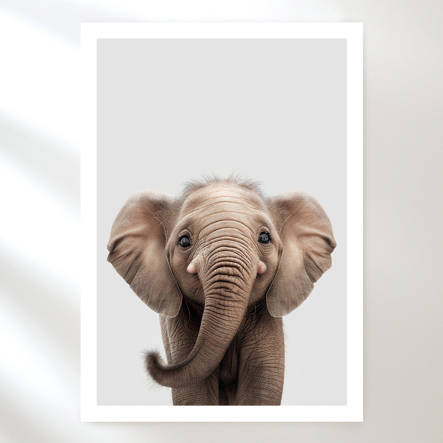 Baby Elephant Art Print