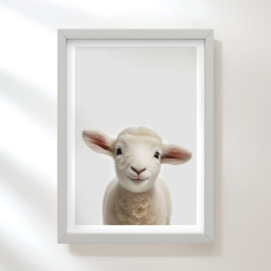 Baby Lamb Art Print