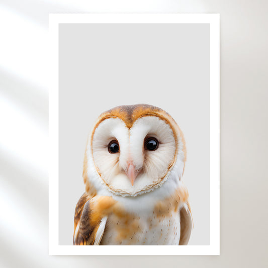 Barn Owl Art Print