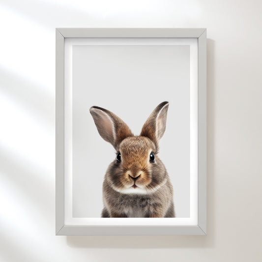 Bunny Rabbit Art Print