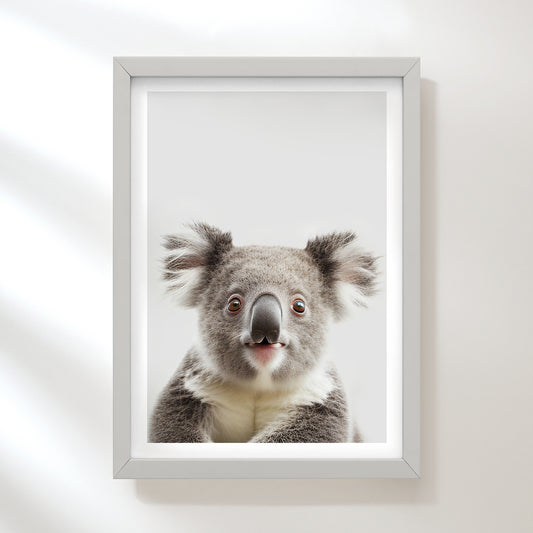 Koala Bear Art Print