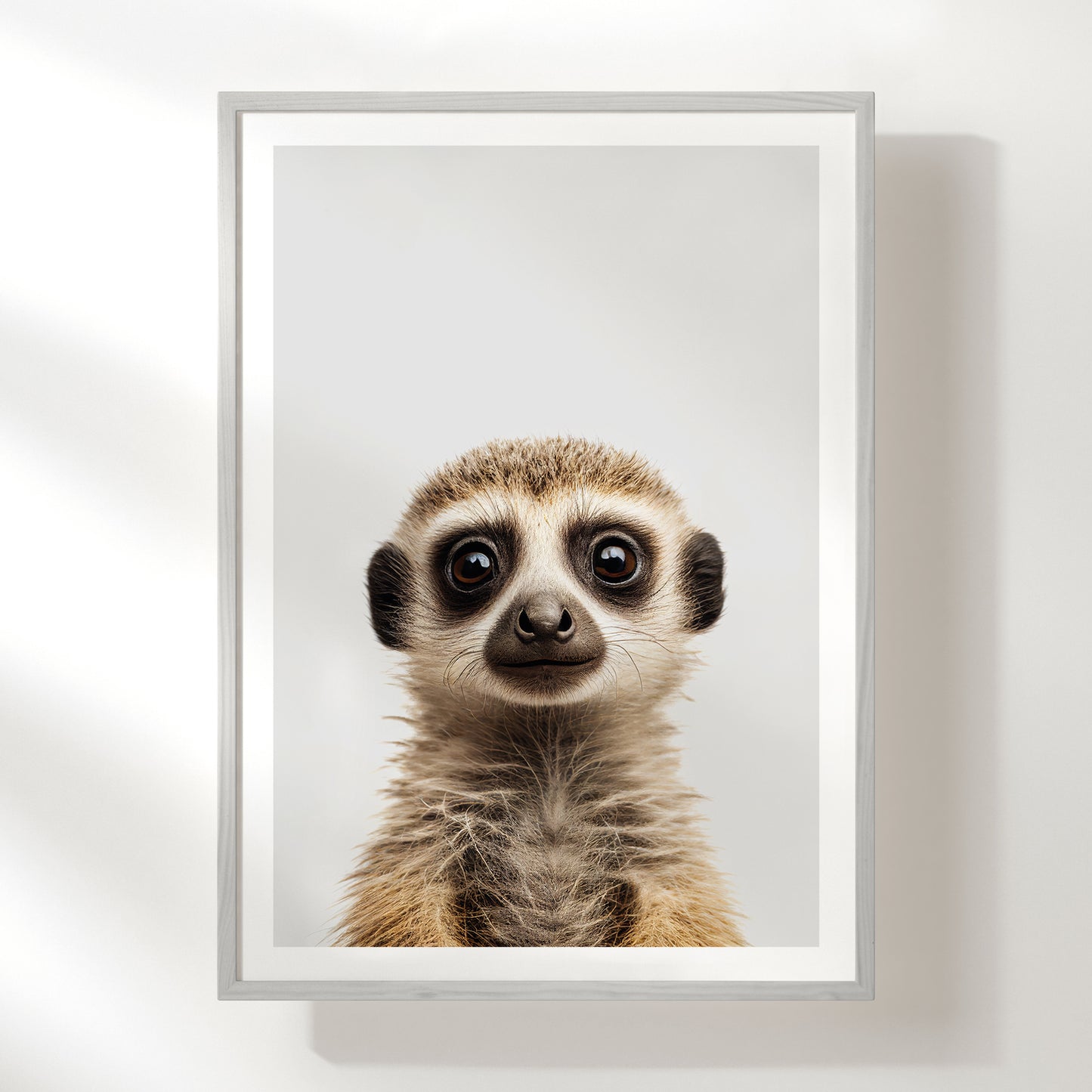 Meerkat Art Print