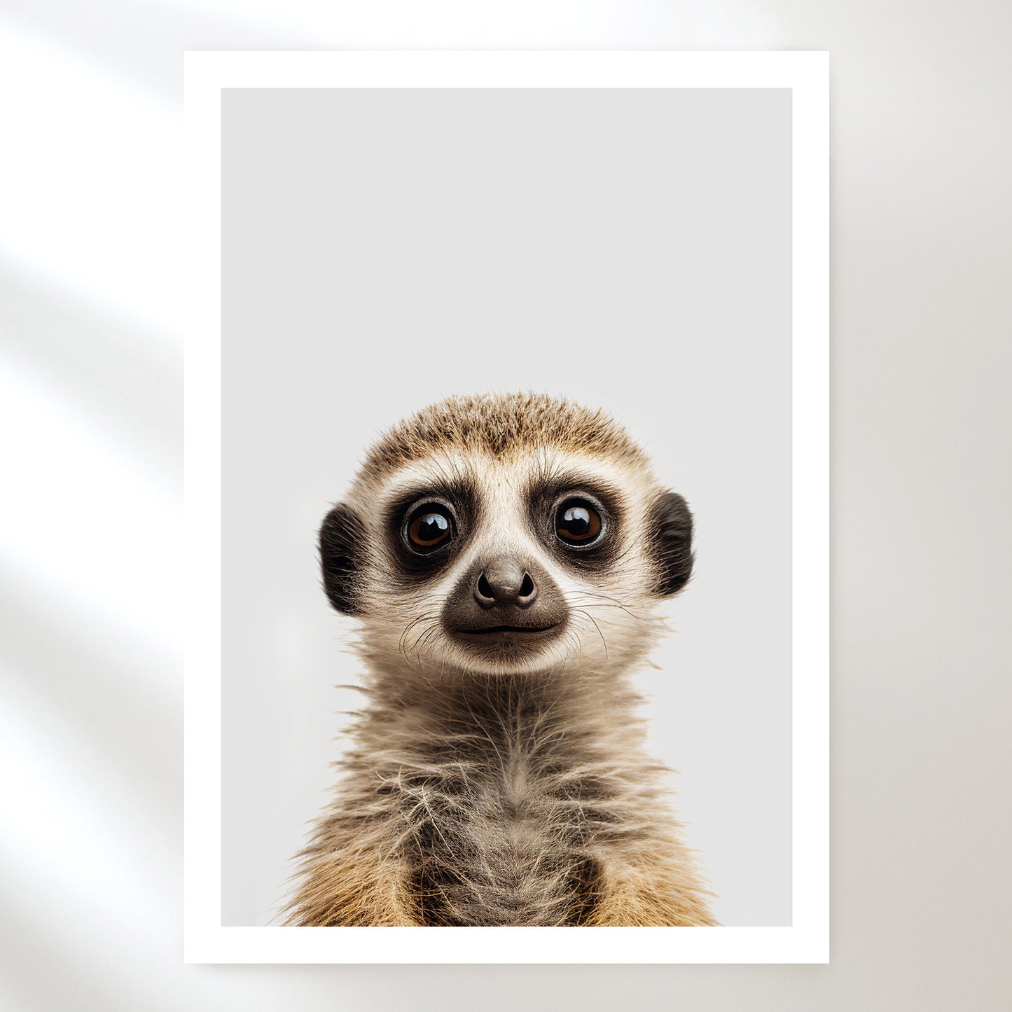 Meerkat Art Print