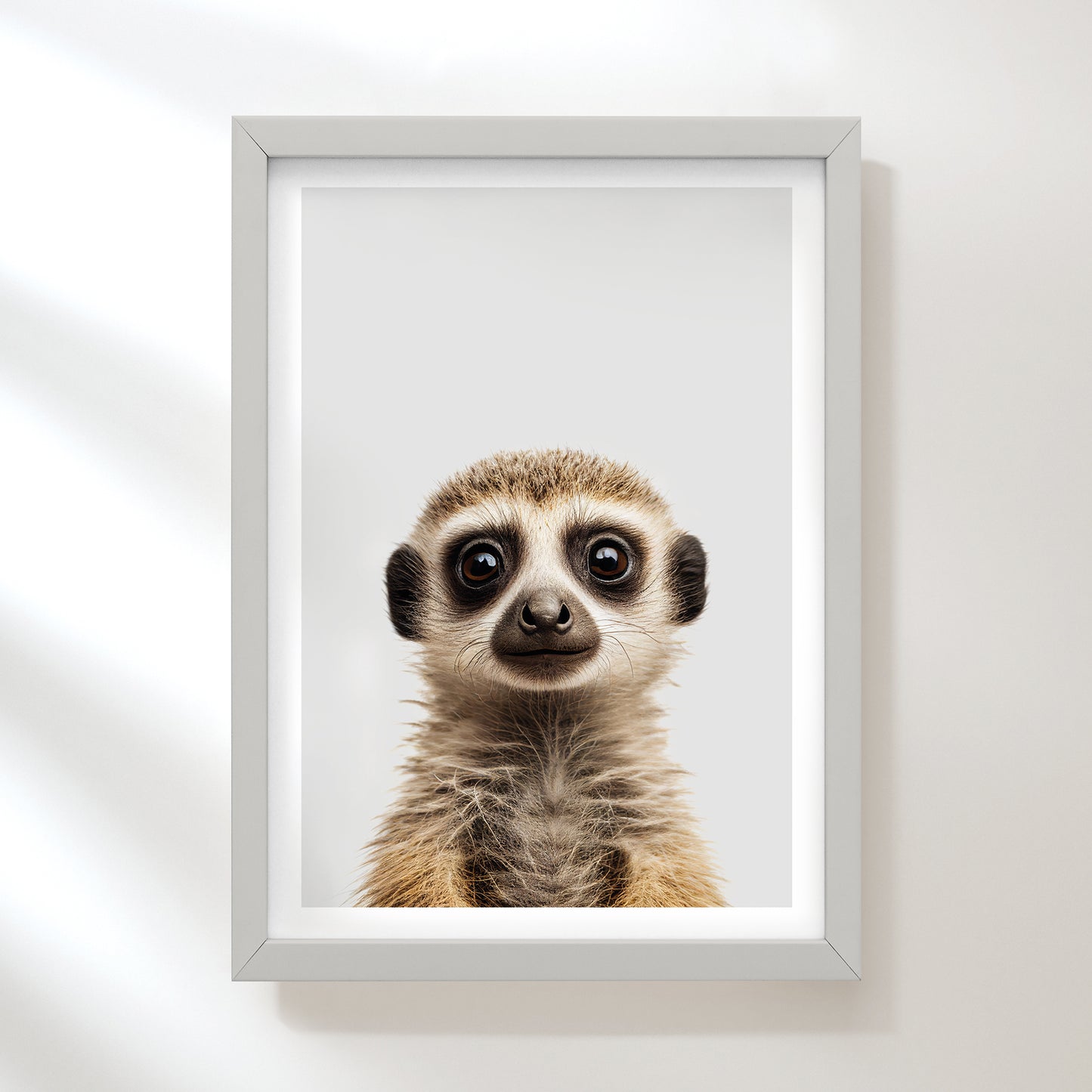 Meerkat Art Print