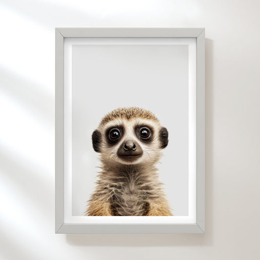 Meerkat Art Print